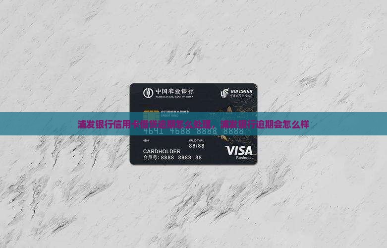 浦发银行信用卡借贷逾期怎么处理