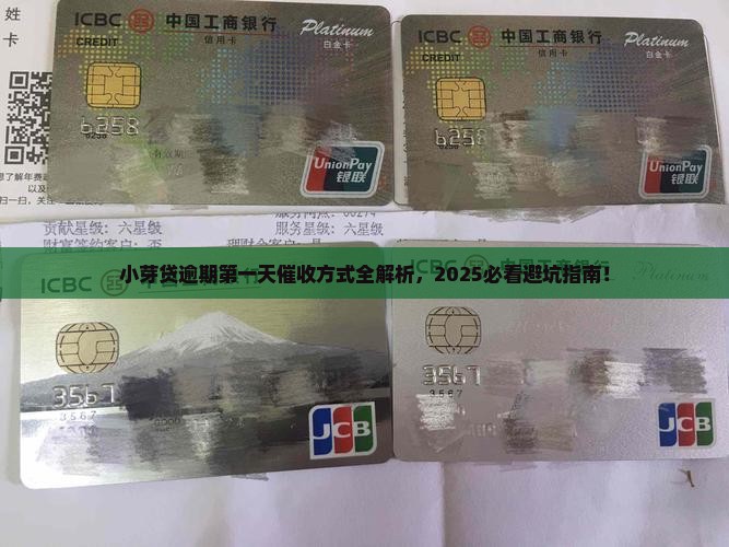 小芽贷逾期第一天催收方式