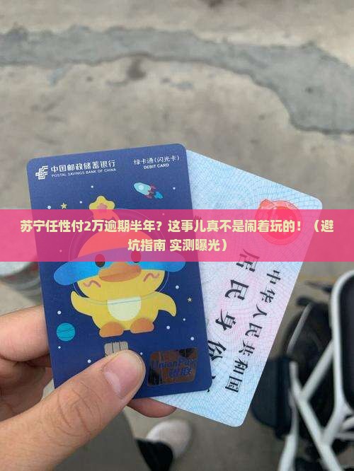 苏宁任性付2万逾期半年
