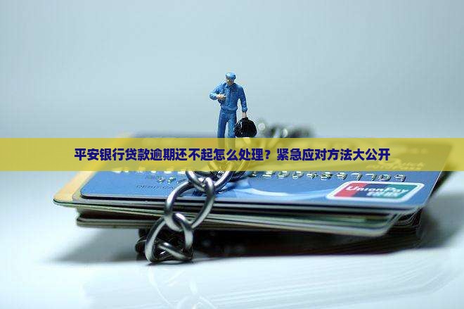 平安银行贷款逾期还不起怎么处理