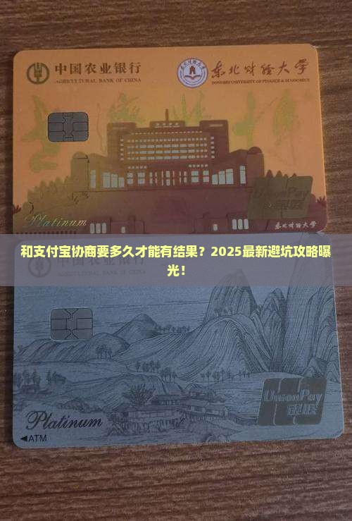 与支付宝协商多久能取得有效结果