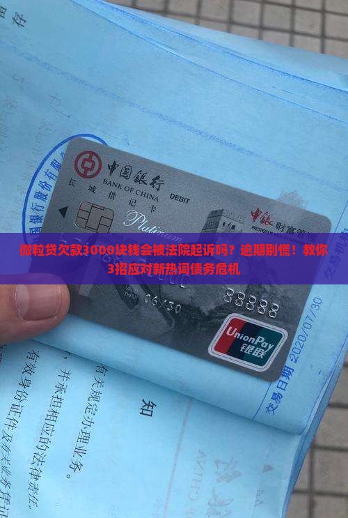 微粒贷欠款3000块钱会被法院起诉吗