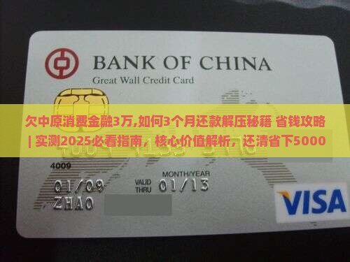 欠中原消费金融3万