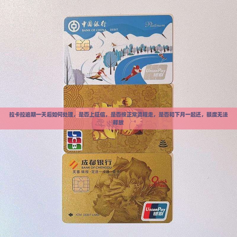 拉卡拉逾期一天后如何处理