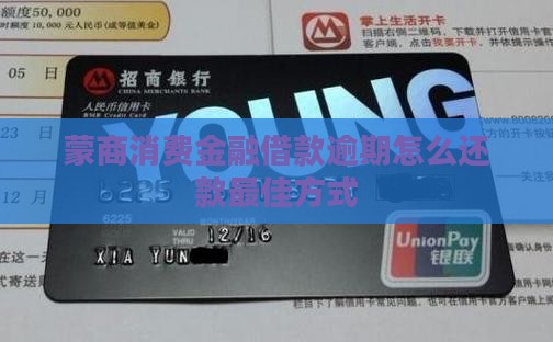 蒙商消费金融借款逾期怎么还款最佳方式
