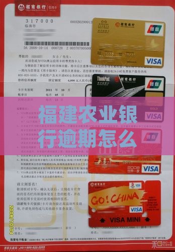 福建农业银行逾期怎么处理