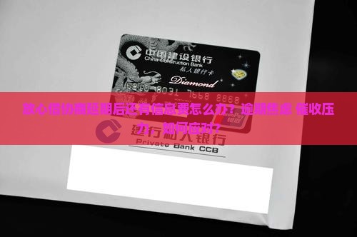放心借协商延期后还有信息费怎么办