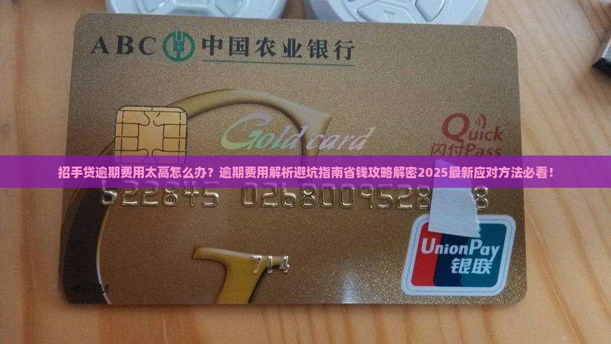 招手贷逾期费用太高应该怎么办