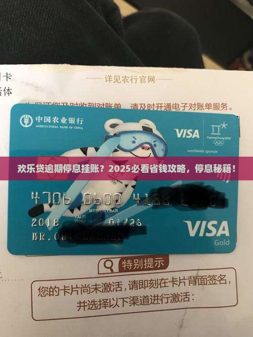欢乐贷逾期停息挂账