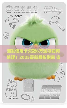 浦发信用卡欠款6万逾期如何处理
