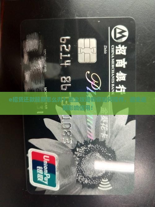 e招贷还款延期怎么办