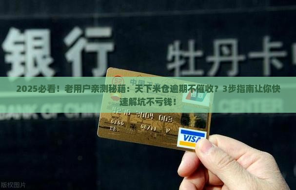 天下米仓逾期没催收如何处理
