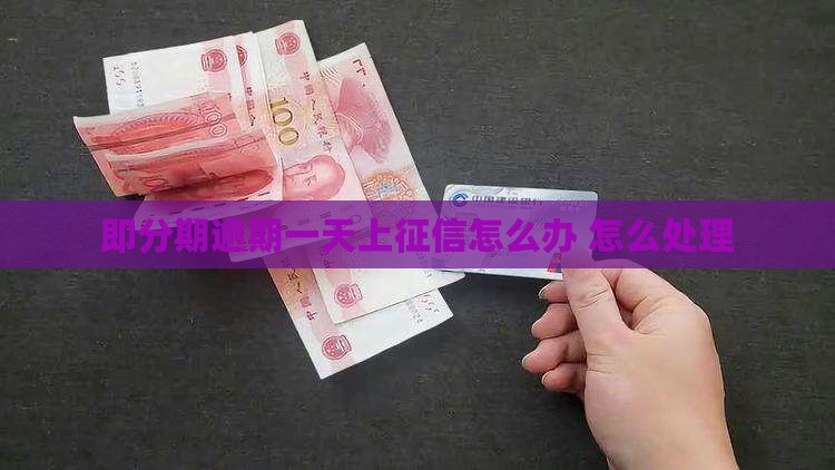 即分期逾期一天上征信怎么办理