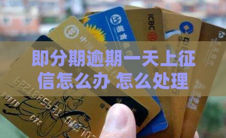 即分期逾期一天上征信怎么办理
