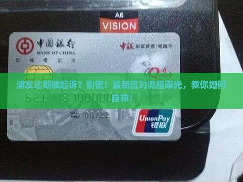 浦发逾期被起诉流程