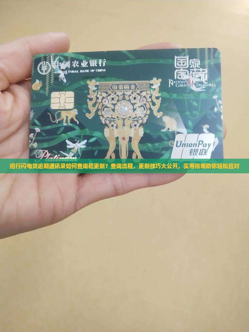 招行闪电贷逾期通讯录如何查询和更新