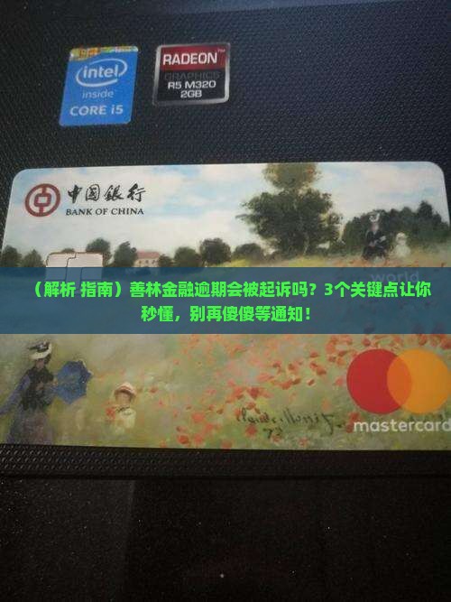 善林金融逾期会被起诉吗