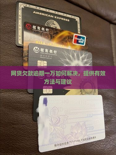 网贷欠款逾期一万如何解决