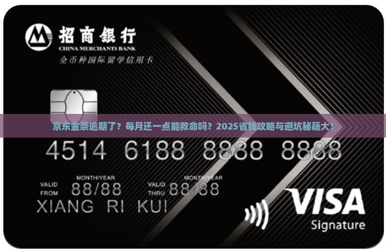 京东金条逾期每个月还一点可以吗
