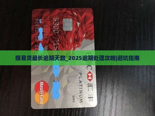 搜易贷最长逾期天数