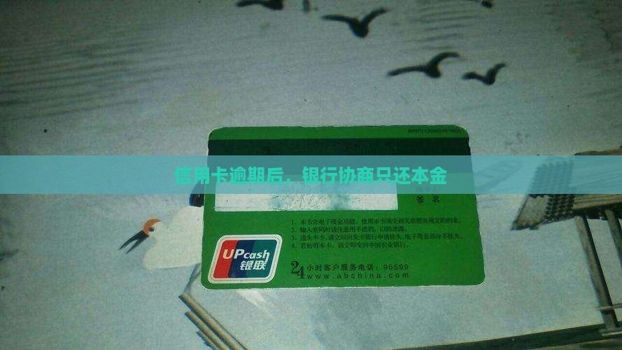 银行主动协商只还本金