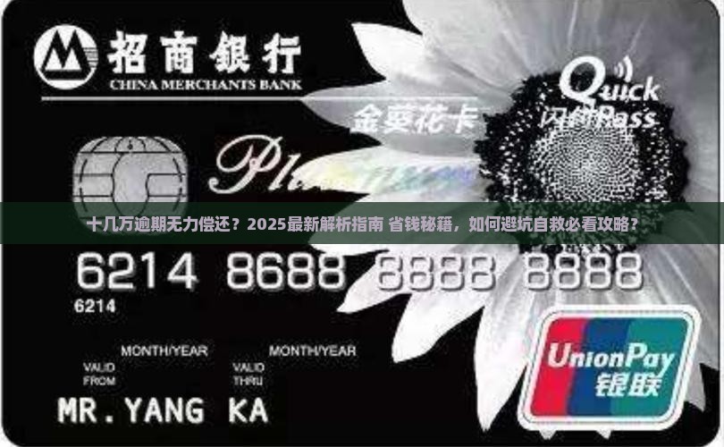 微粒贷十几万逾期无力偿还怎么办