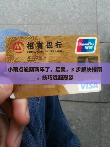 小雨点逾期两年了