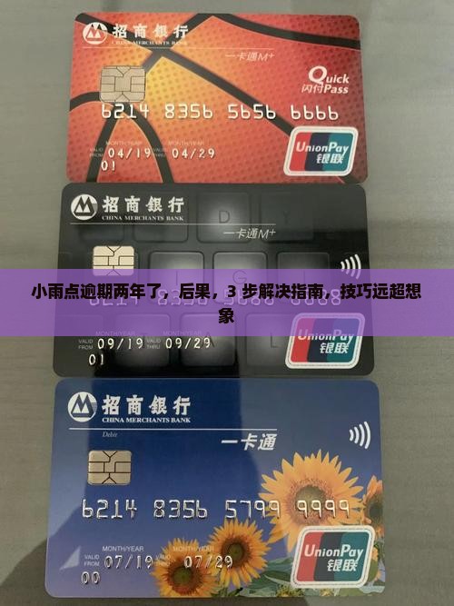 小雨点逾期两年了