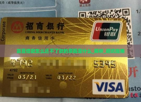 芸豆借款怎么还不了款的原因是什么