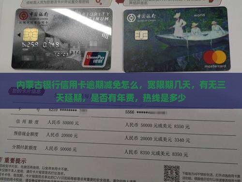 内蒙古银行信用卡逾期减免怎么办理