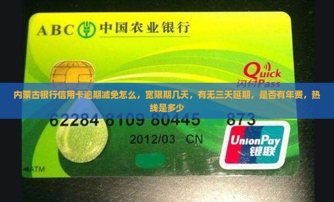 内蒙古银行信用卡逾期减免怎么办理