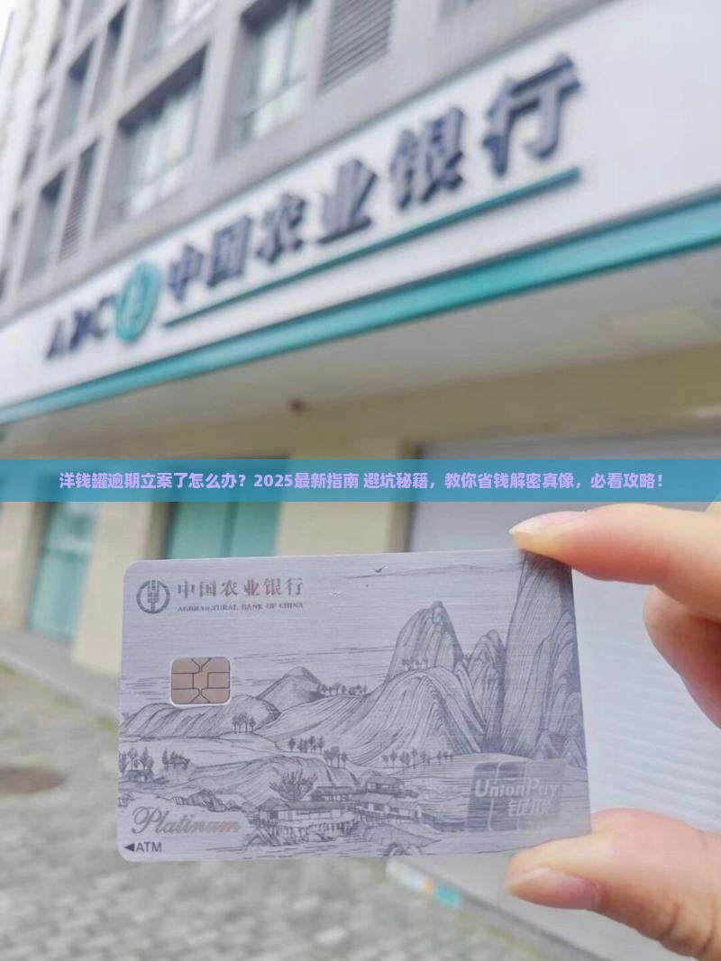 洋钱罐逾期正式立案怎么处理