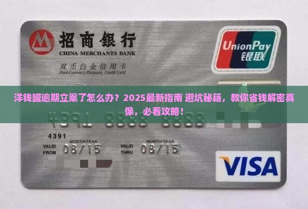 洋钱罐逾期正式立案怎么处理