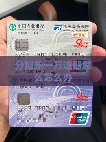 分期乐1万逾期怎么办