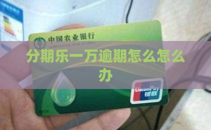 分期乐1万逾期怎么办