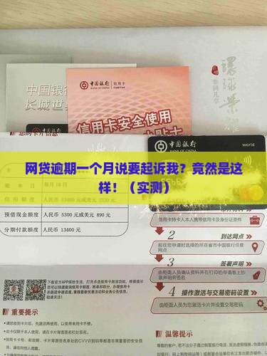 网贷逾期一个月说要起诉我