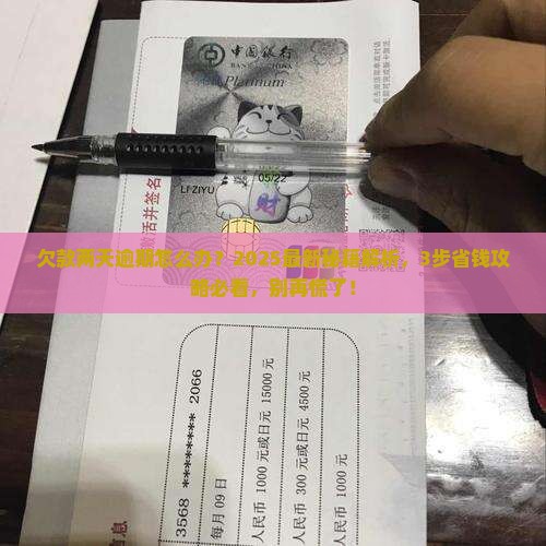 微粒贷欠款两天逾期怎么办