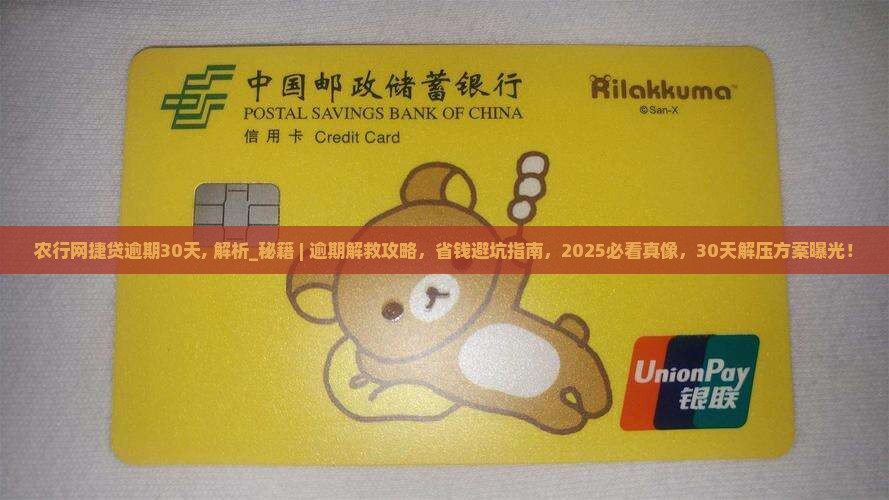 农行网捷贷逾期30天