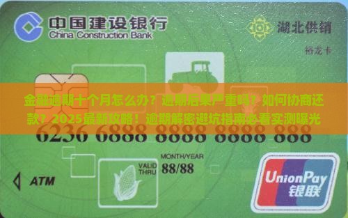招联金融逾期十个月怎么办