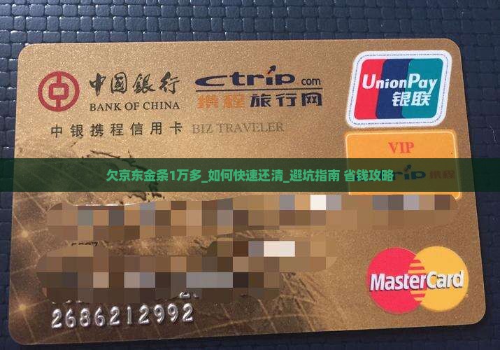 欠京东白条金条1万多