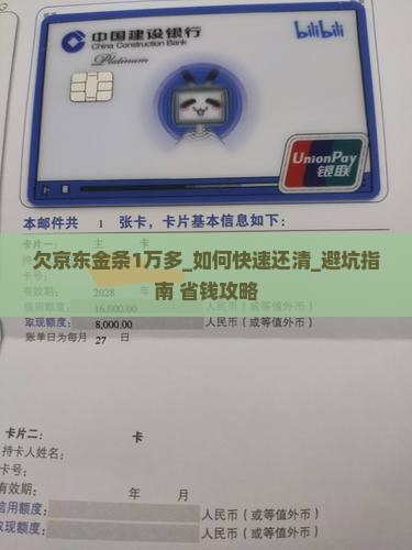 欠京东白条金条1万多