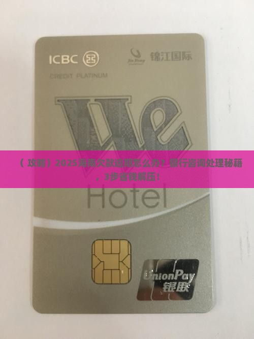 海南各银行欠款逾期咨询如何处理