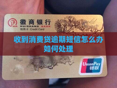 收到消费贷逾期短信怎么办如何处理