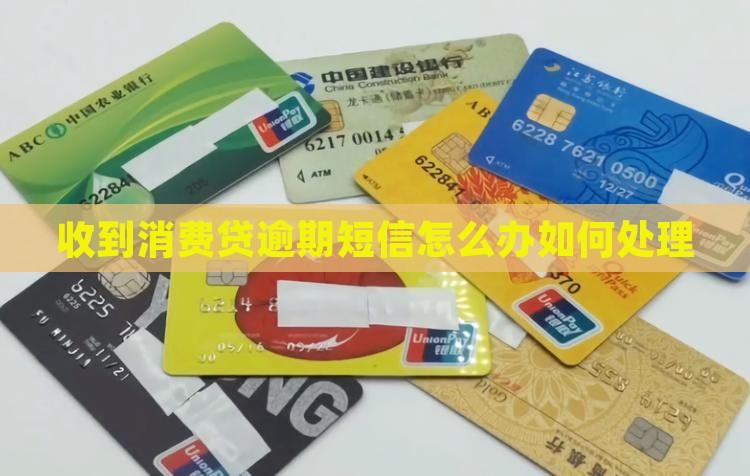 收到消费贷逾期短信怎么办如何处理