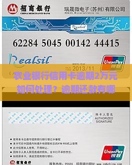 农业银行信用卡逾期2万元如何处理？逾期还款有哪些后果？如何避免信用卡逾期？