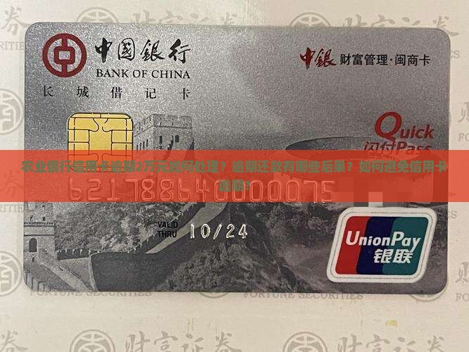 农业银行信用卡逾期2万元如何处理？逾期还款有哪些后果？如何避免信用卡逾期？