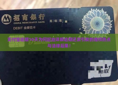 支付宝逾期10天为何起丝详解逾期还款引发的维权热点与法律后果！