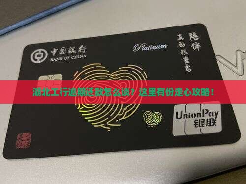 湖北工行逾期还款怎么谈？这里有份走心攻略！