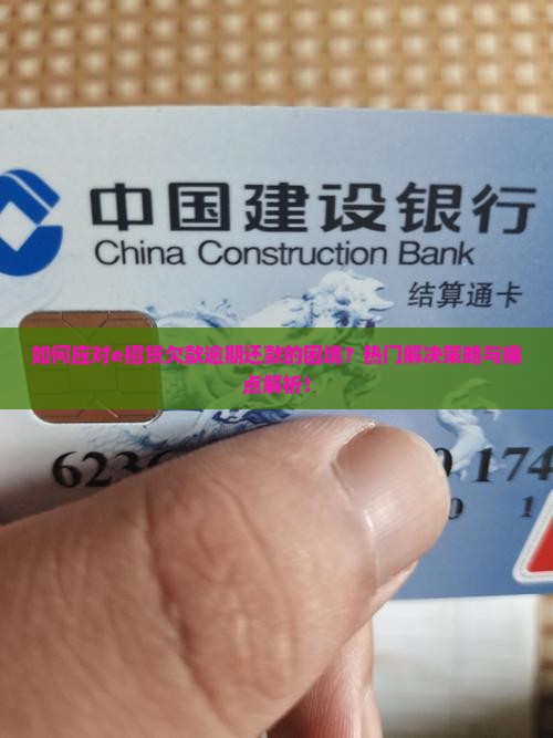 如何应对e招贷欠款逾期还款的困境？热门解决策略与痛点解析！