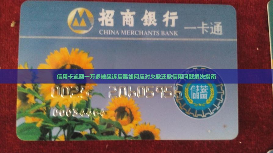 信用卡逾期一万多被起诉后果如何应对欠款还款信用问题解决指南